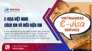 Evisa Việt Nam