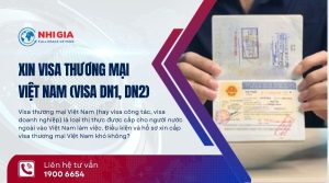 Visa thương mại