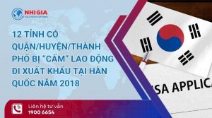 các huyện thị cấm đi xuất khẩu lao động hàn​