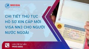 visa nn3​