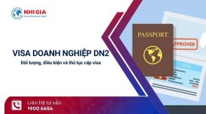 visa doanh nghiệp DN2