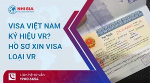 visa vr là gì​