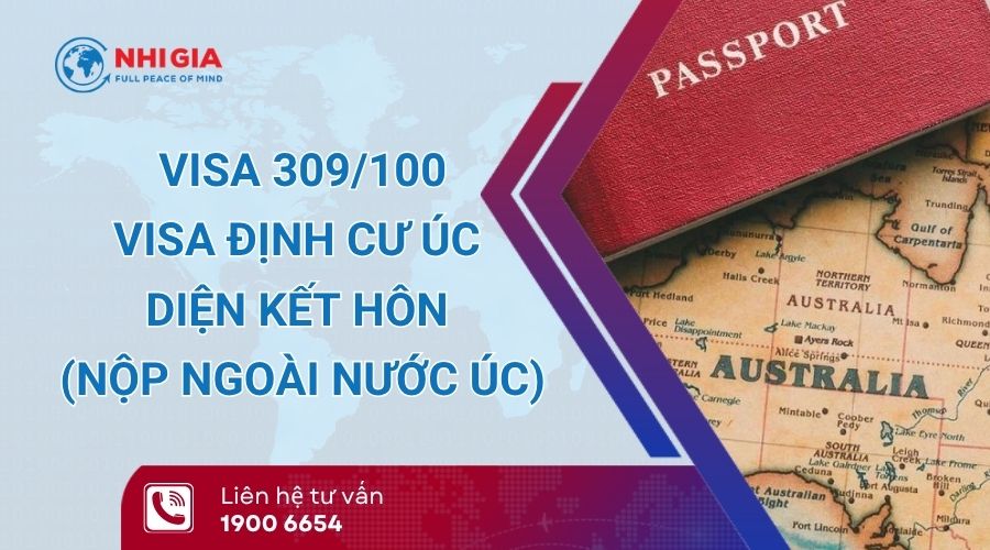 visa 309​