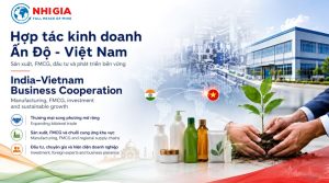 Hợp tác kinh doanh Ấn Độ - Việt Nam: Cơ hội từ sản xuất và FMCG